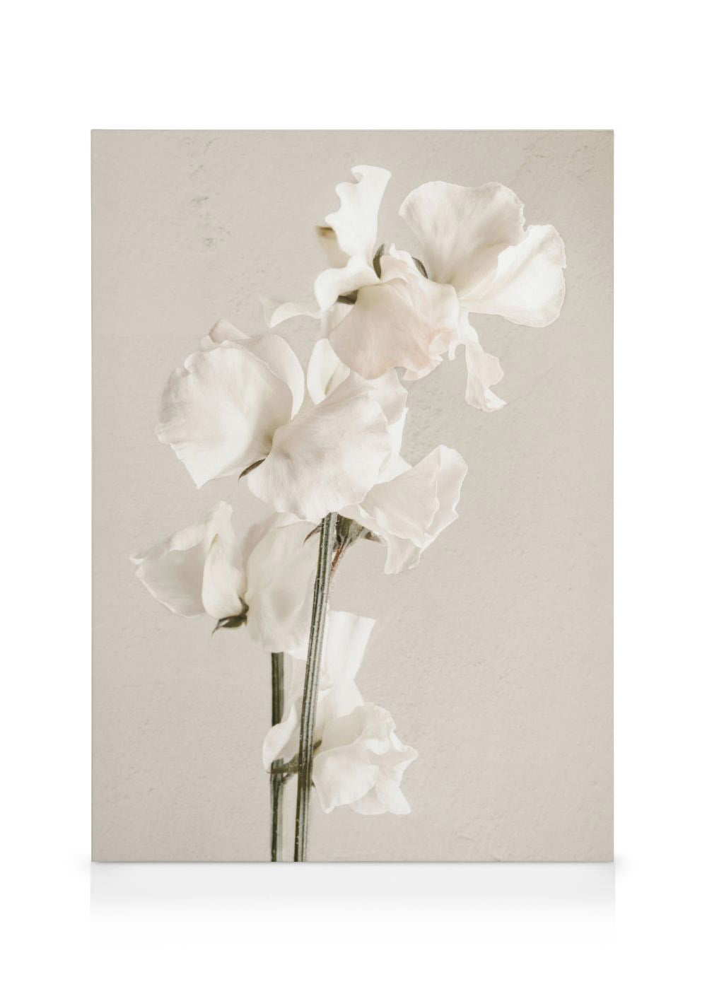In Full Bloom Canvas print