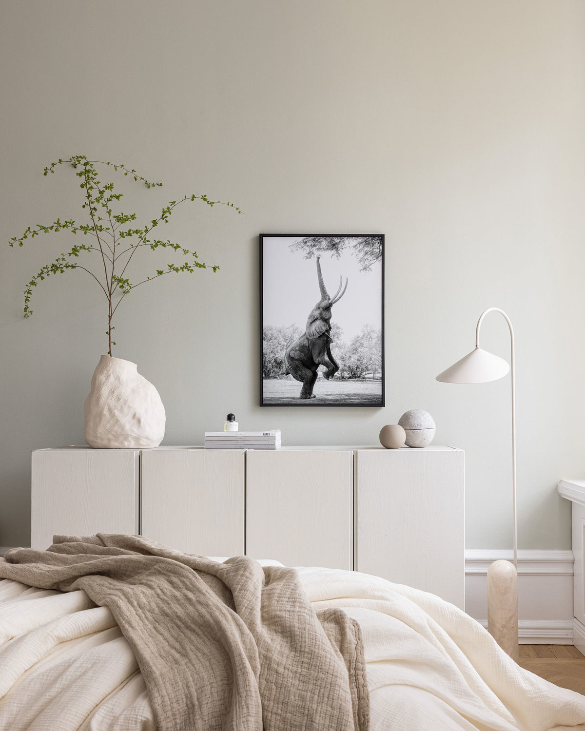 Balancing Elephant Canvas print