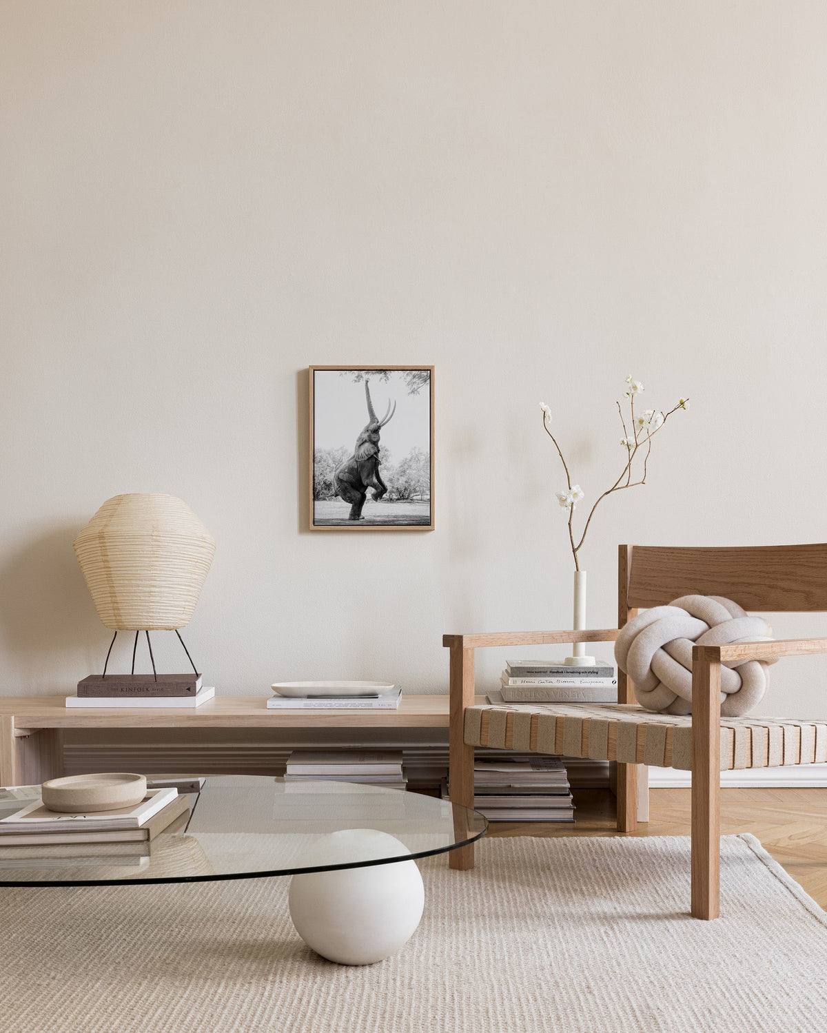 Balancing Elephant Canvas print