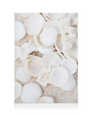 Collecting Memories Canvas print