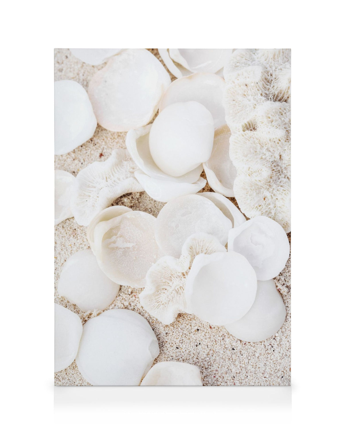 Collecting Memories Canvas print