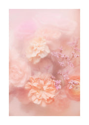 Soft Flowers Print