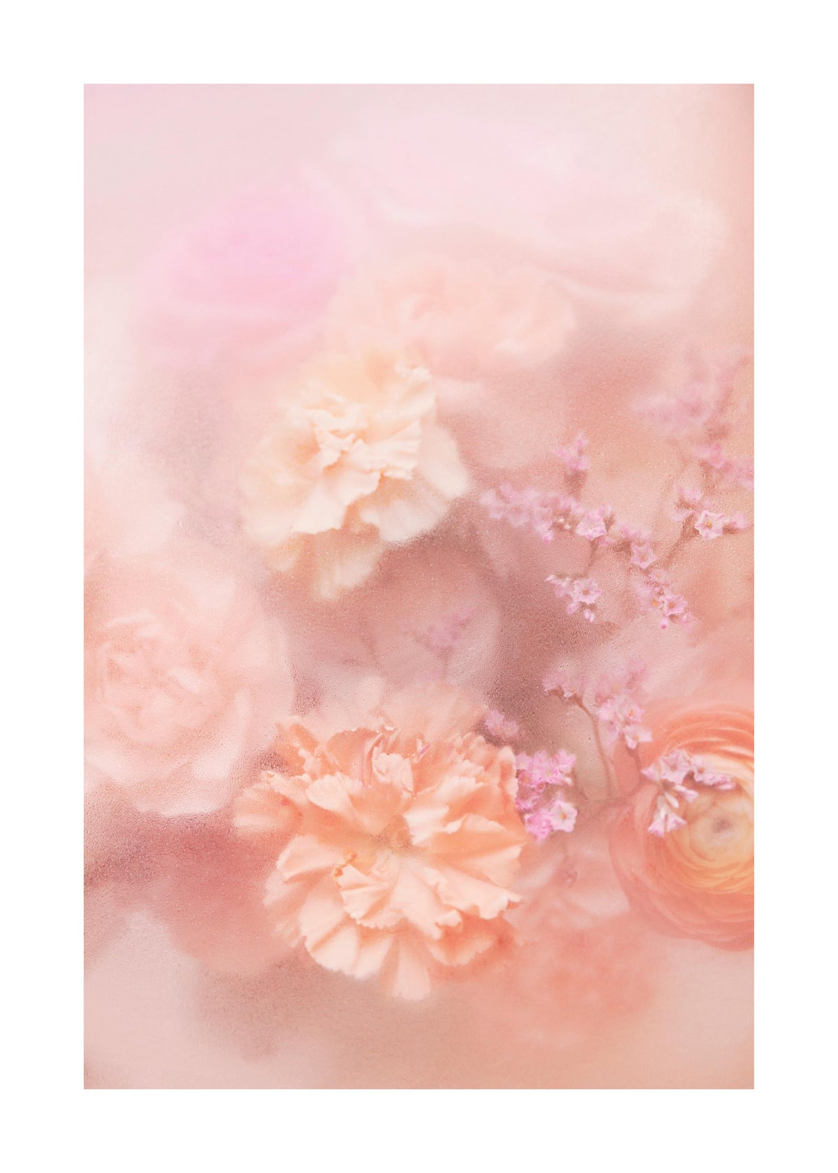 Soft Flowers Print