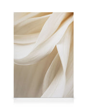 Warm Flower No2 Canvas print