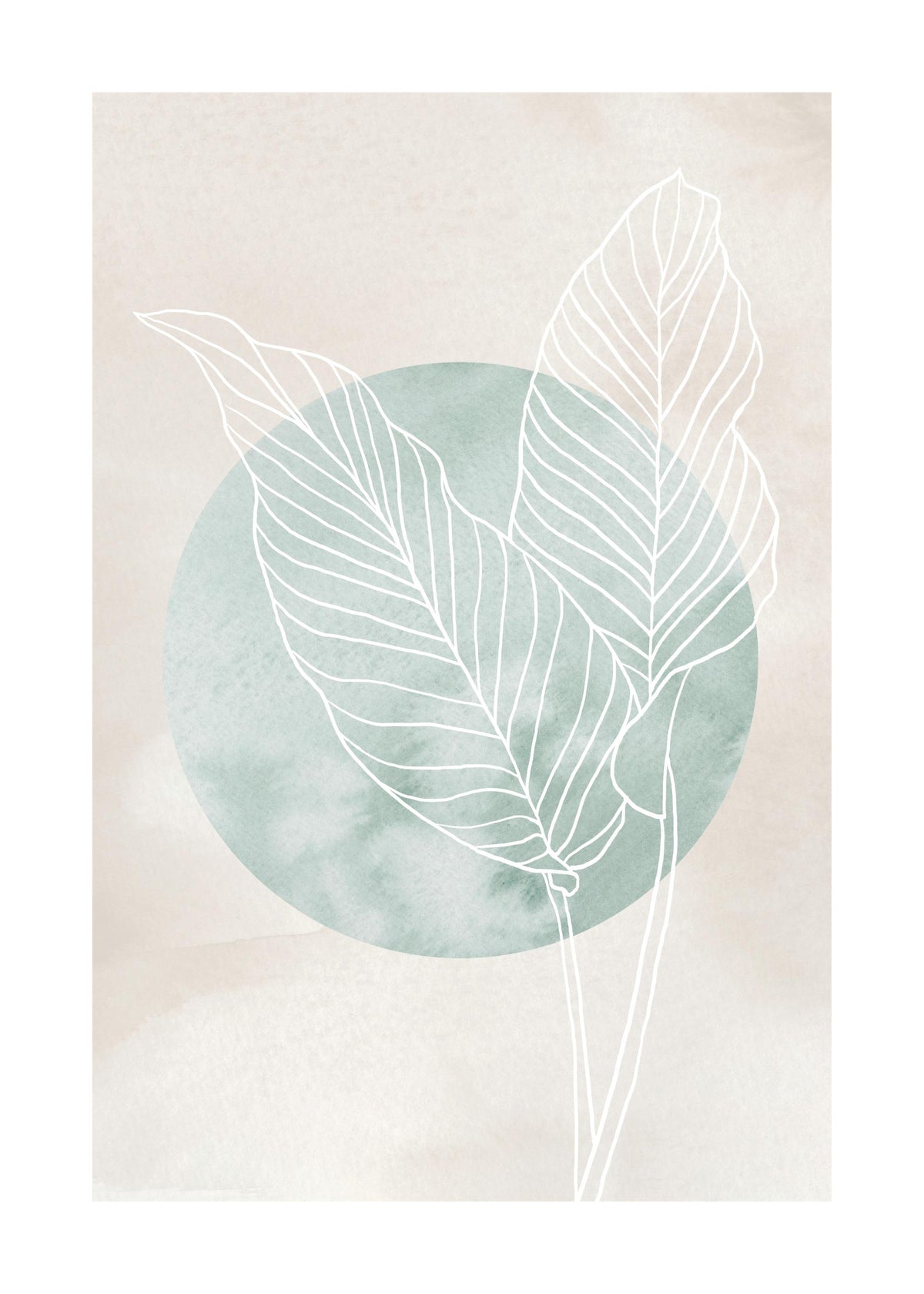 Calathea Line Drawing Print