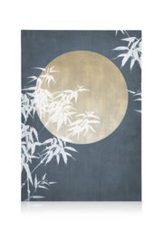 Moon Night Sky No2 Canvas print