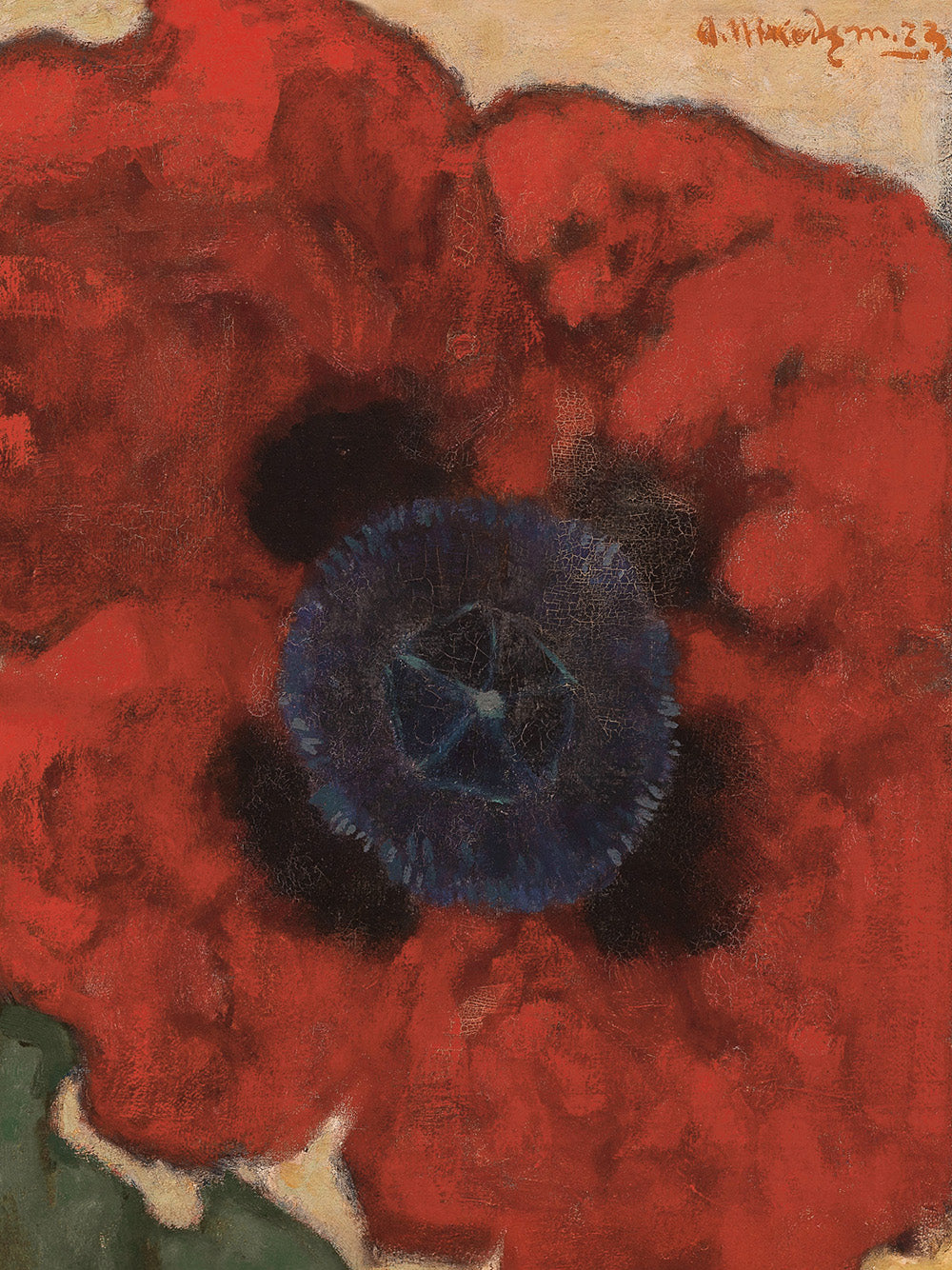 Artur Nikodem - Poppy Flower Print