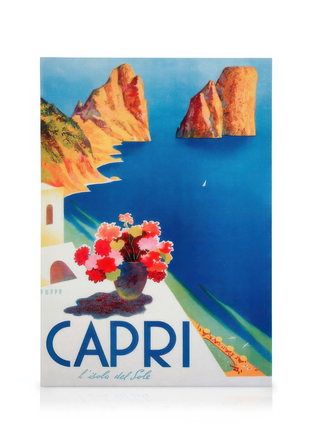 Capri Travel Canvas print