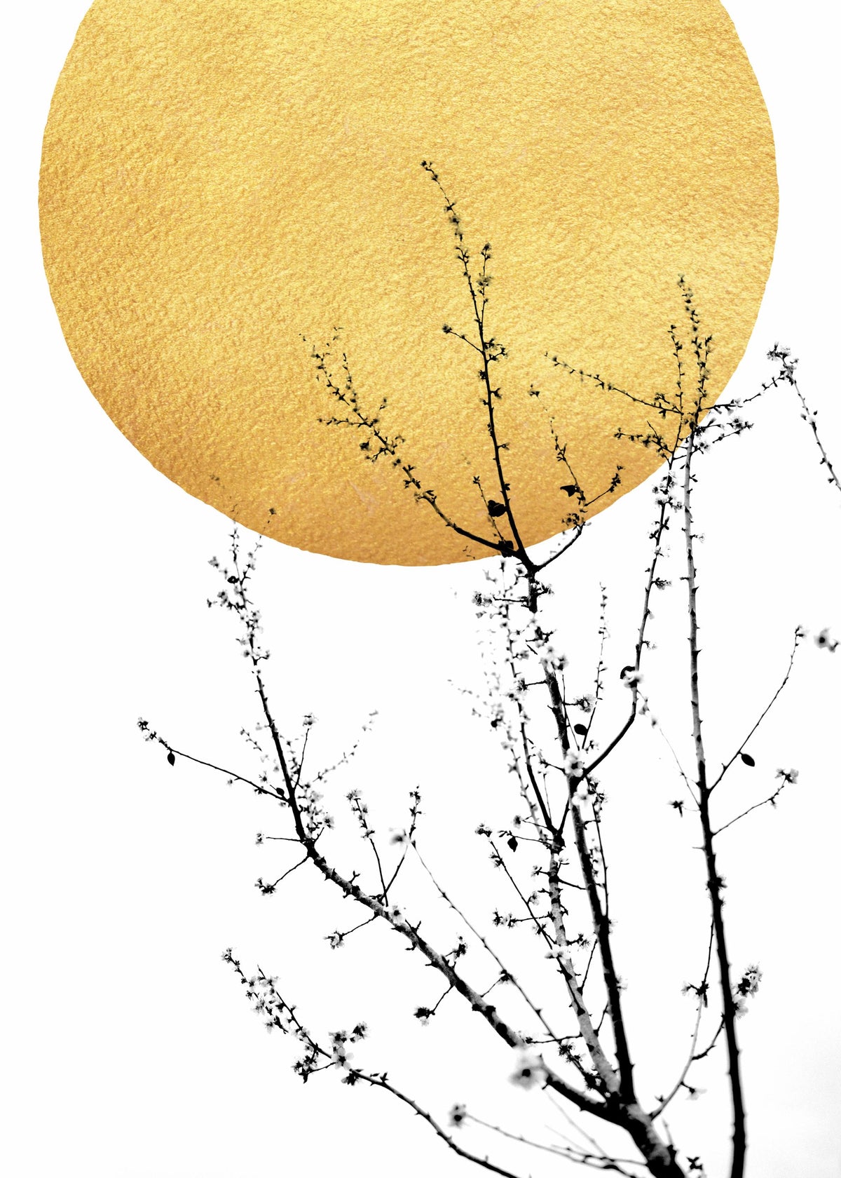 Boris Draschoff  Kubistika - Sunshine of My Life Print