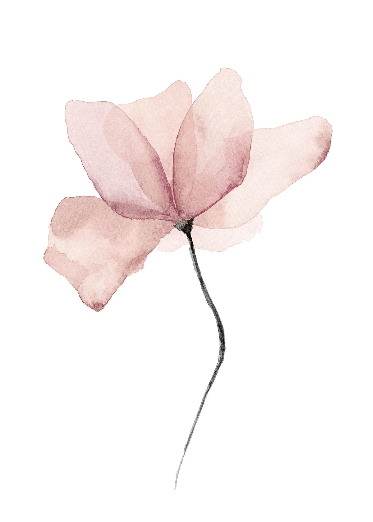 Aquarelle Flower Print