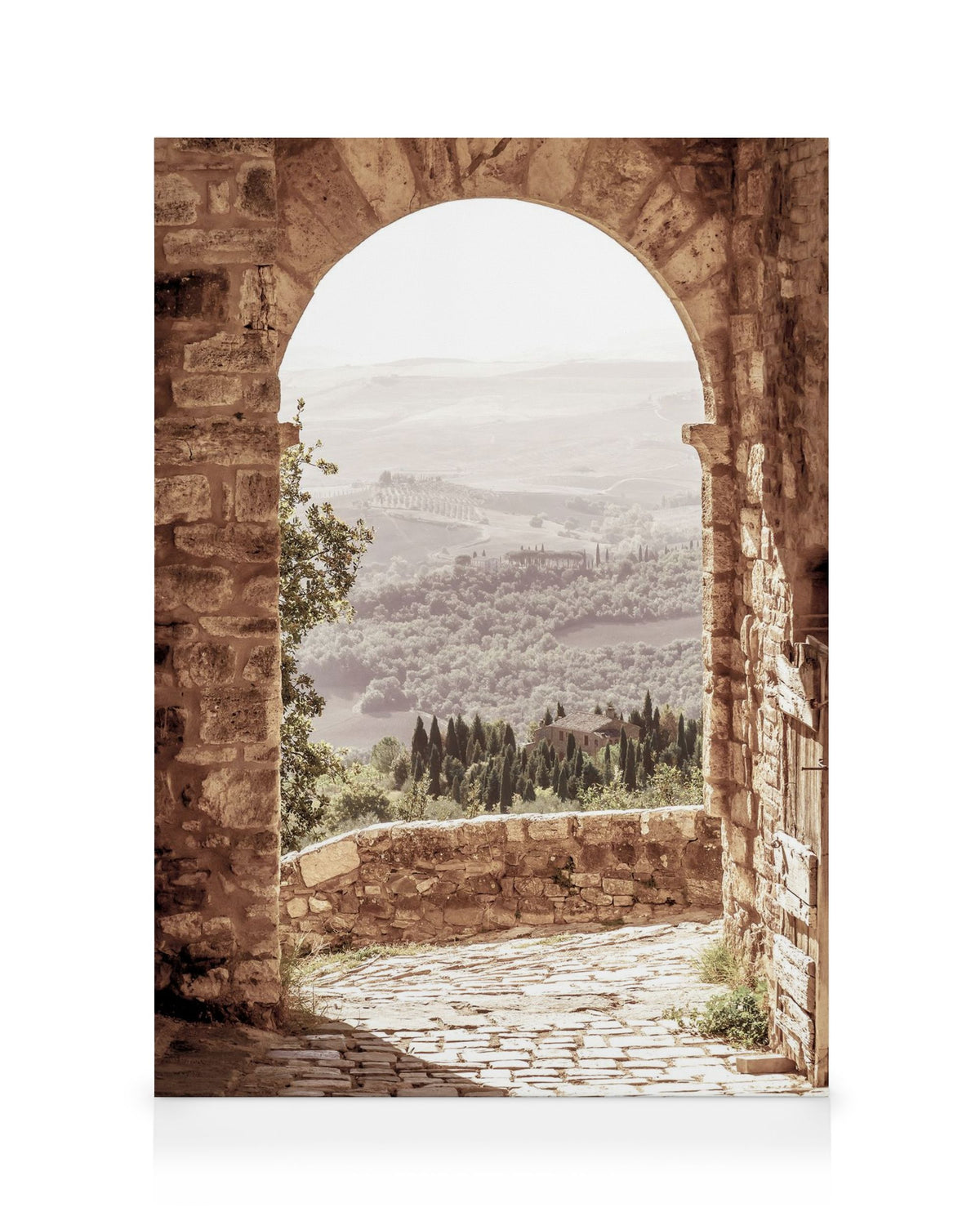 Tuscan Arch Canvas print