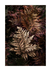 Golden Fern Print