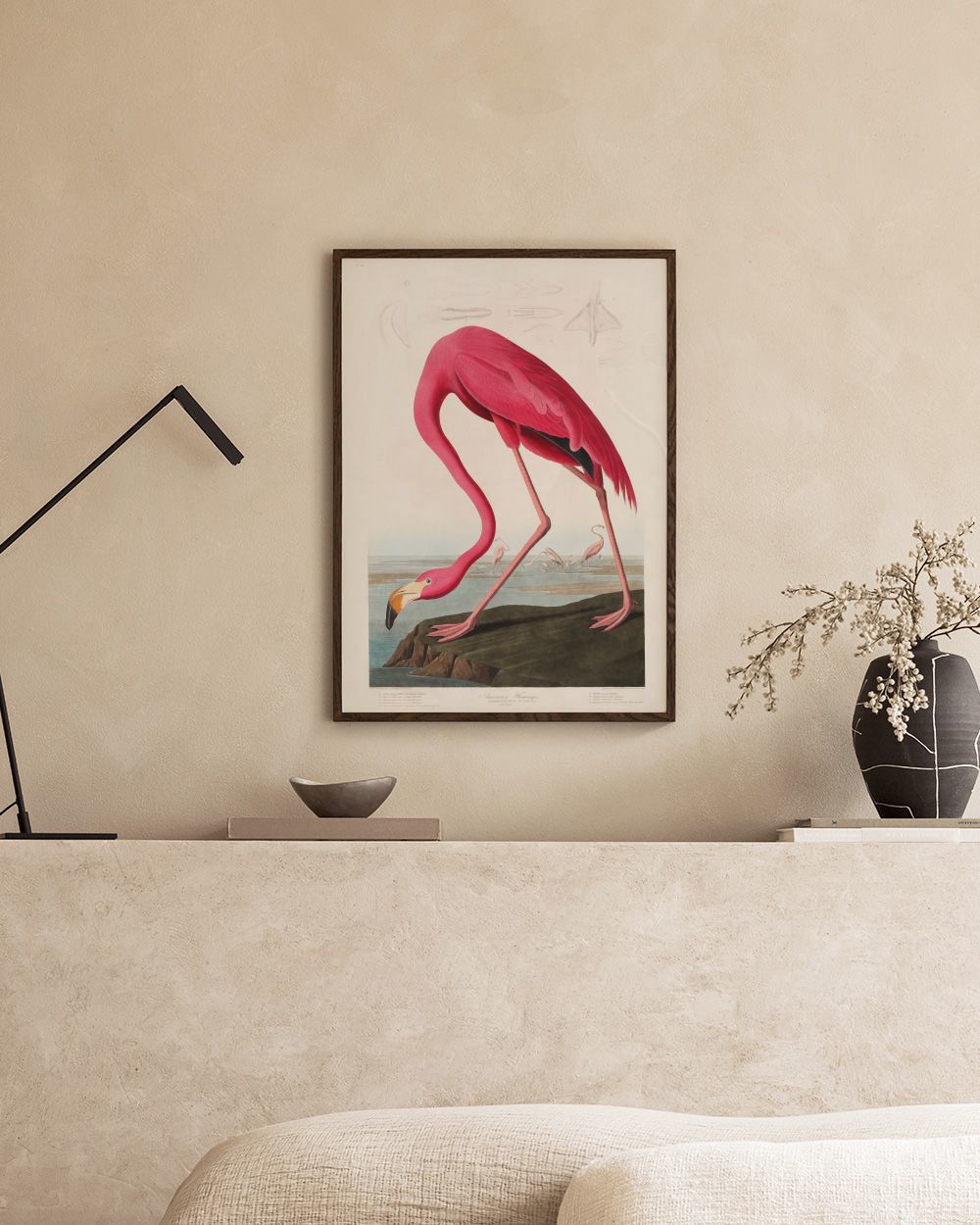 Audubon - Pink Flamingo from Birds of America Print
