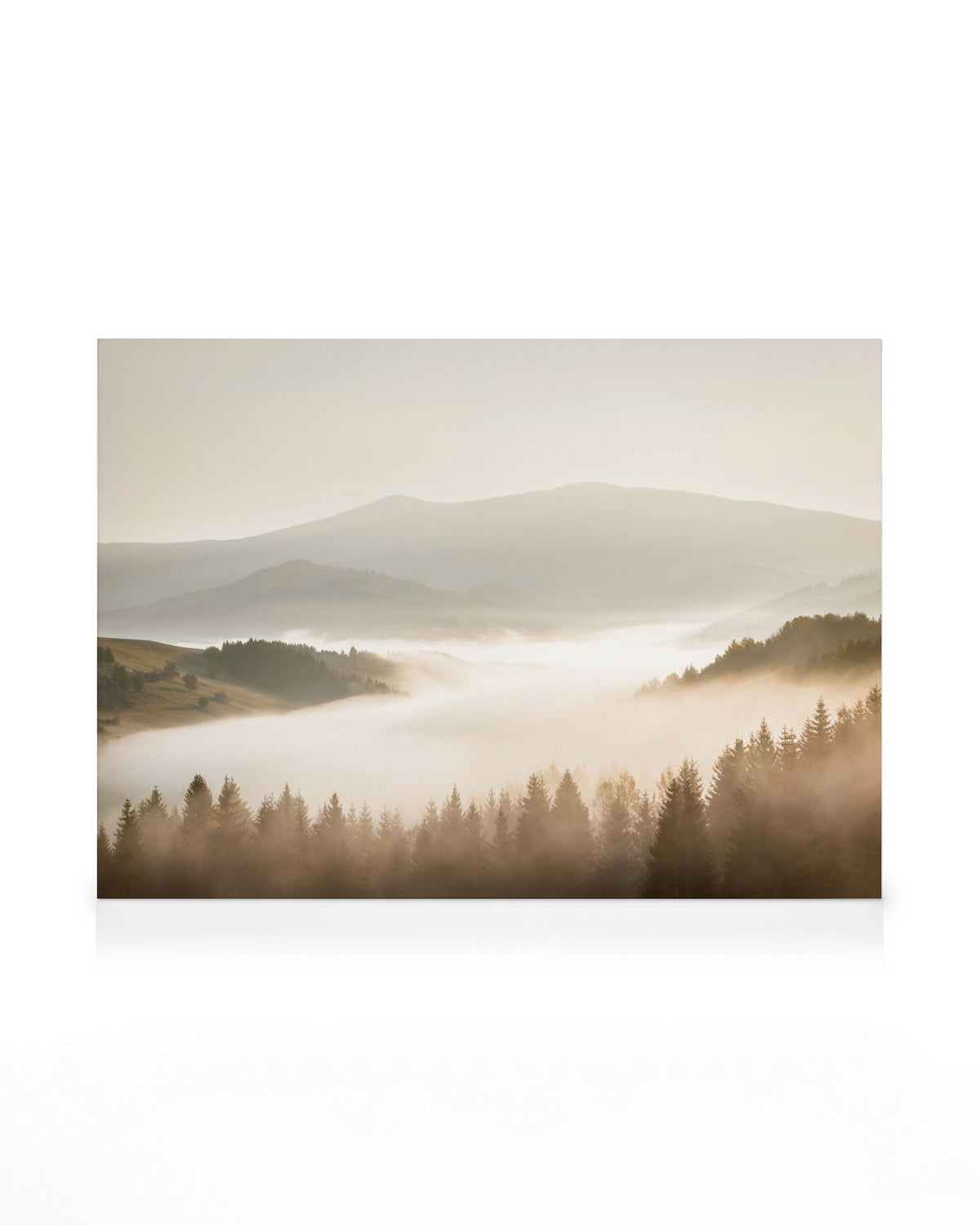 Misty Landscape Canvas print
