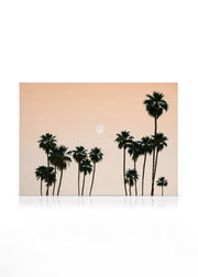 Palms in the Sky Canvas
