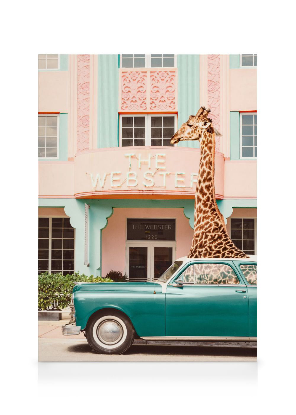 Giraffe Parking Canvas