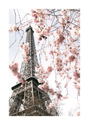 Blooming Paris Print