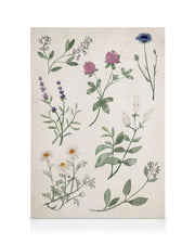 Herbs and Wildflowers Canvas print