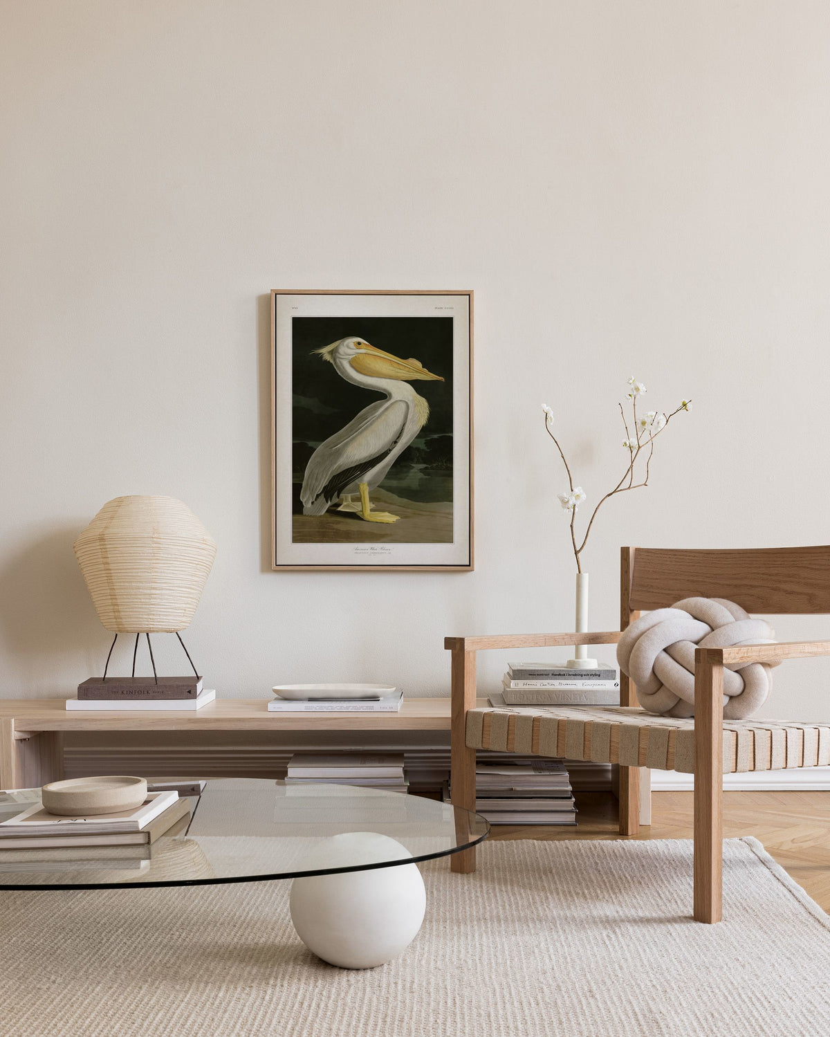 American White Pelican Canvas print