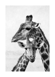 Giraffe Emotions Print