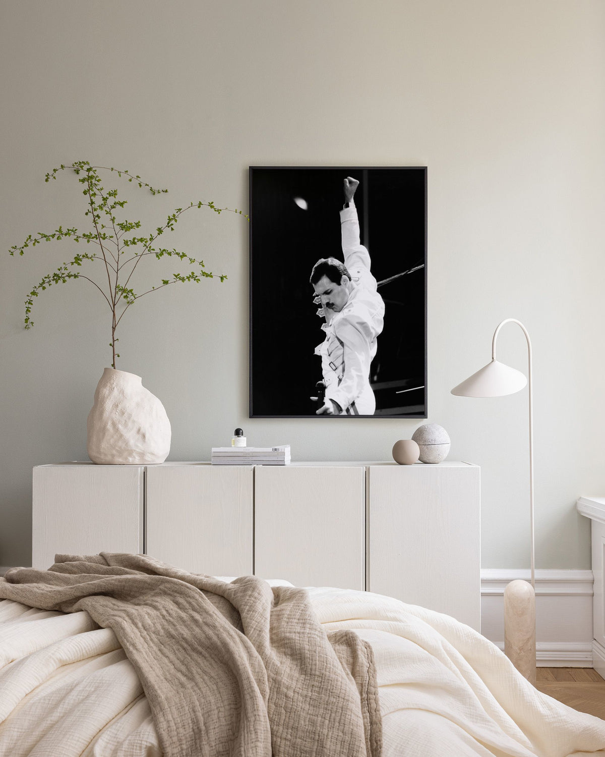 Freddie Mercury Canvas print