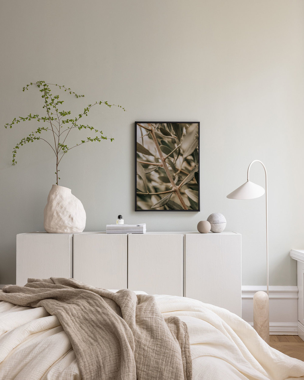 Detailed Olive Branch Canvas print