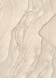 Shaped by Time Plakat