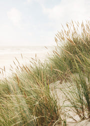 Still Shore Print