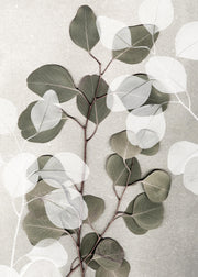 Eucalyptus Art No1 Print
