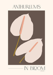 Adele Naidoo - Anthuriums in Bloom Print
