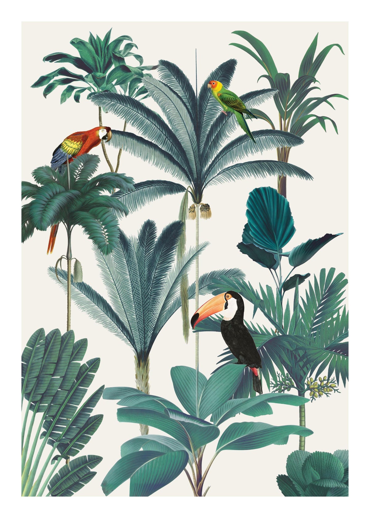 Royal Botanical Birds Print