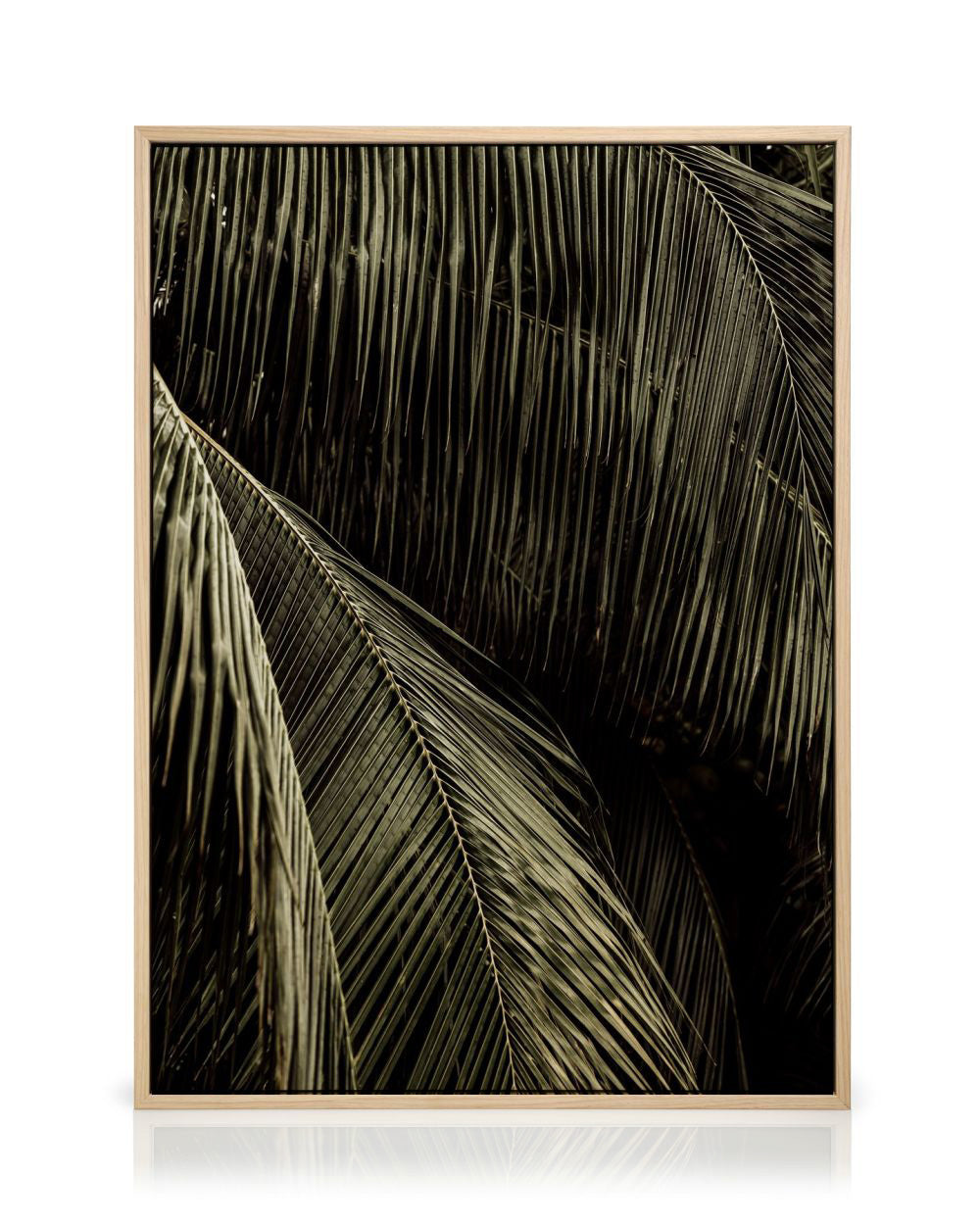 Palm Reverie Canvas print