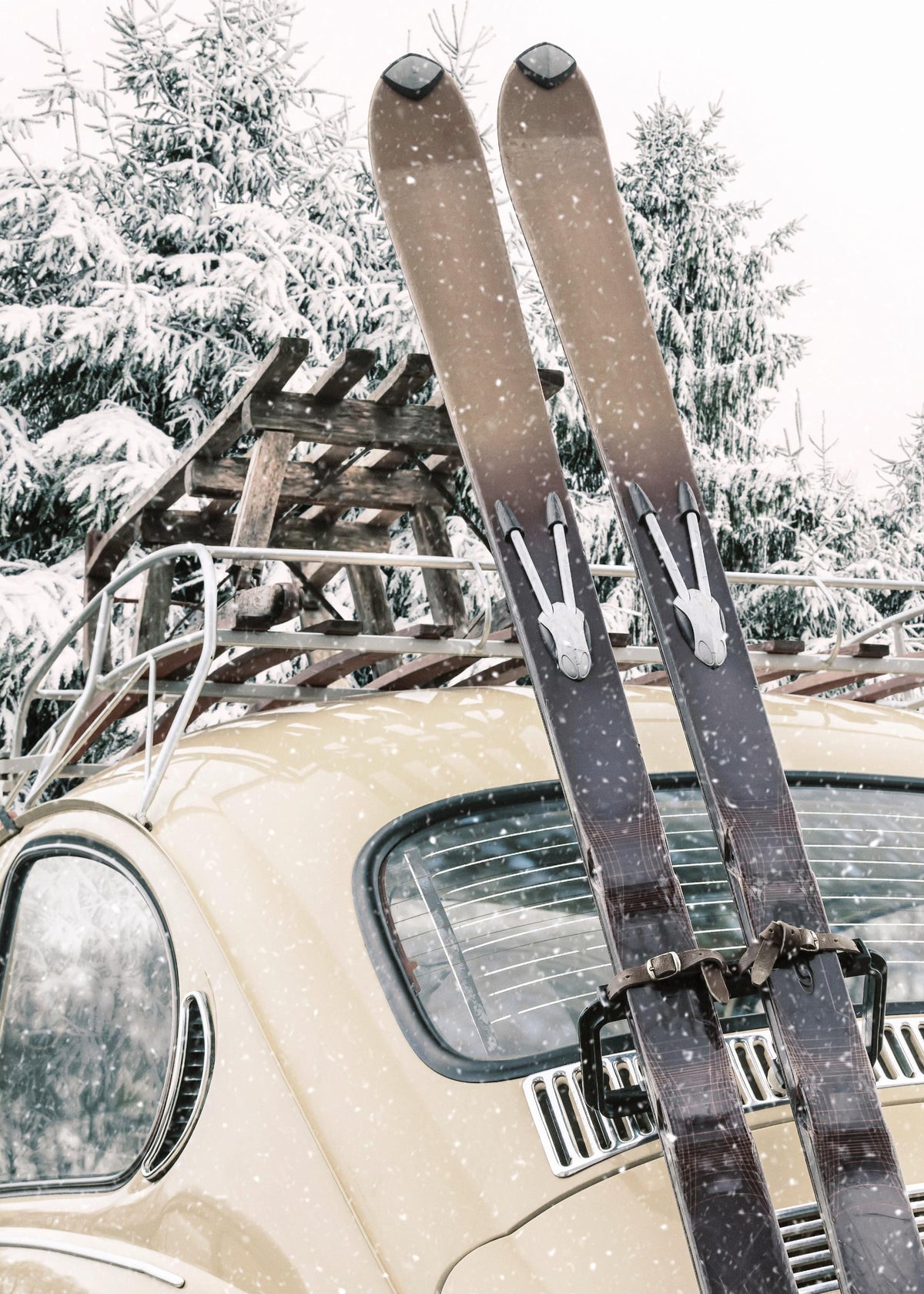 Skis and Snowfall Print