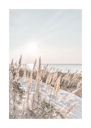 White Sand Coast Print