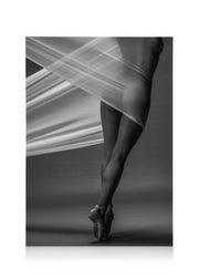 Balanced Canvas print