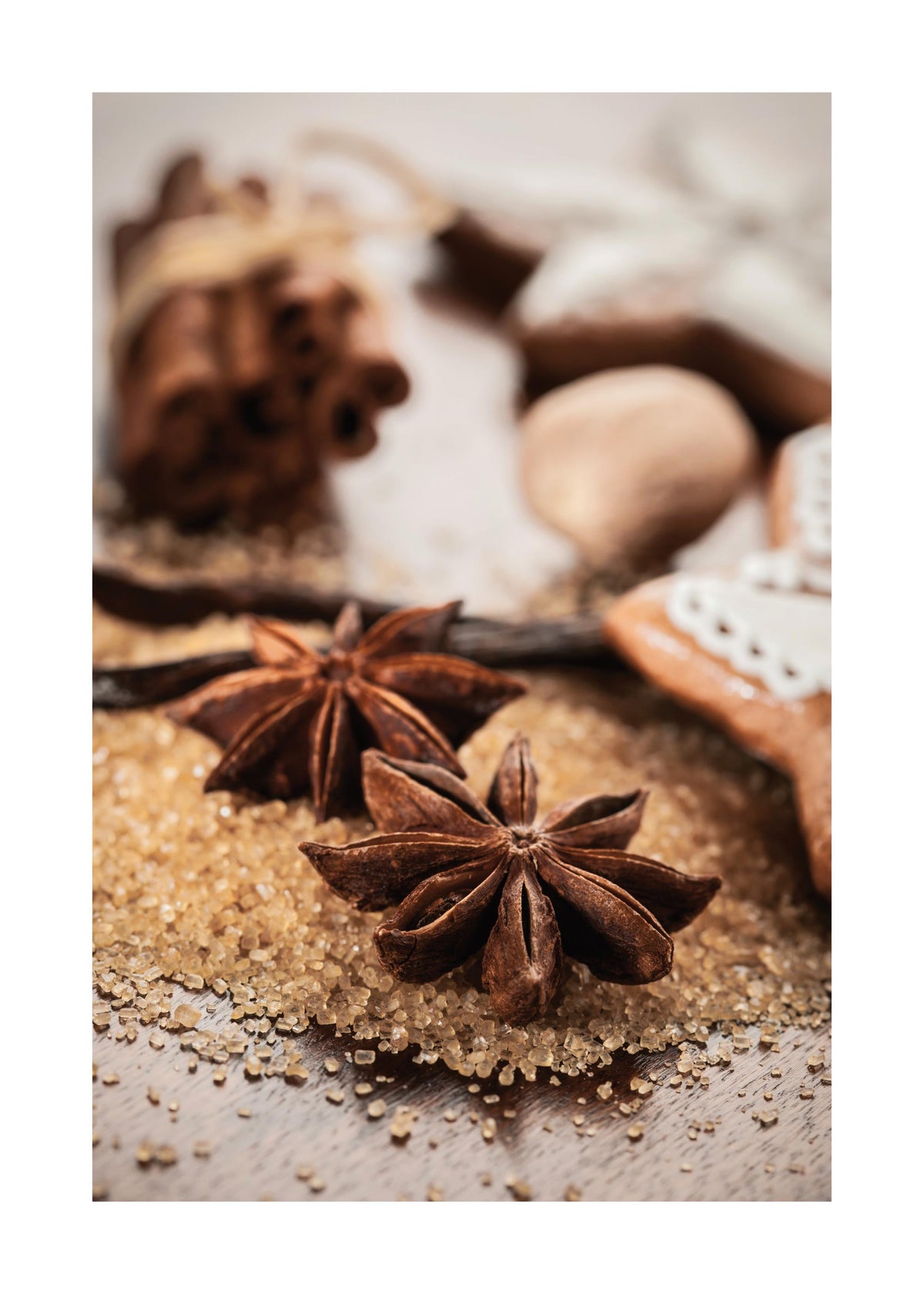 Anis & Cinnamon Print