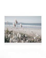 Beach Dune Grass Canvas print