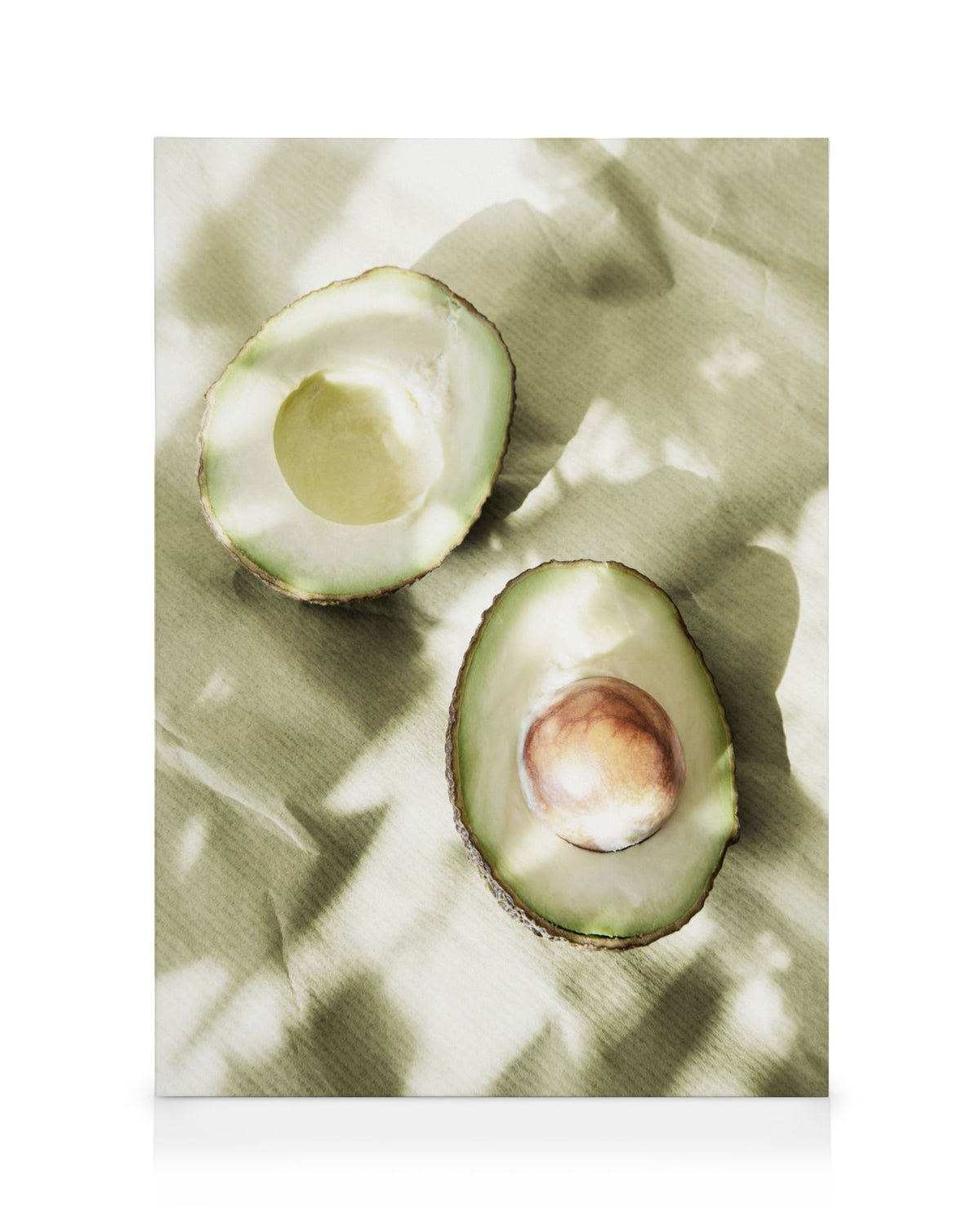 Sunlit Avocados Canvas print