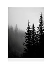 Tree Tops B&W Canvas print