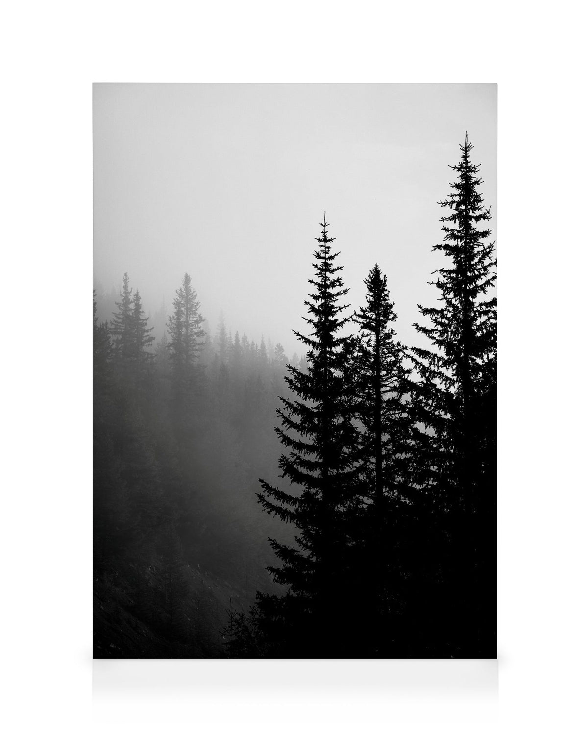 Tree Tops B&W Canvas print