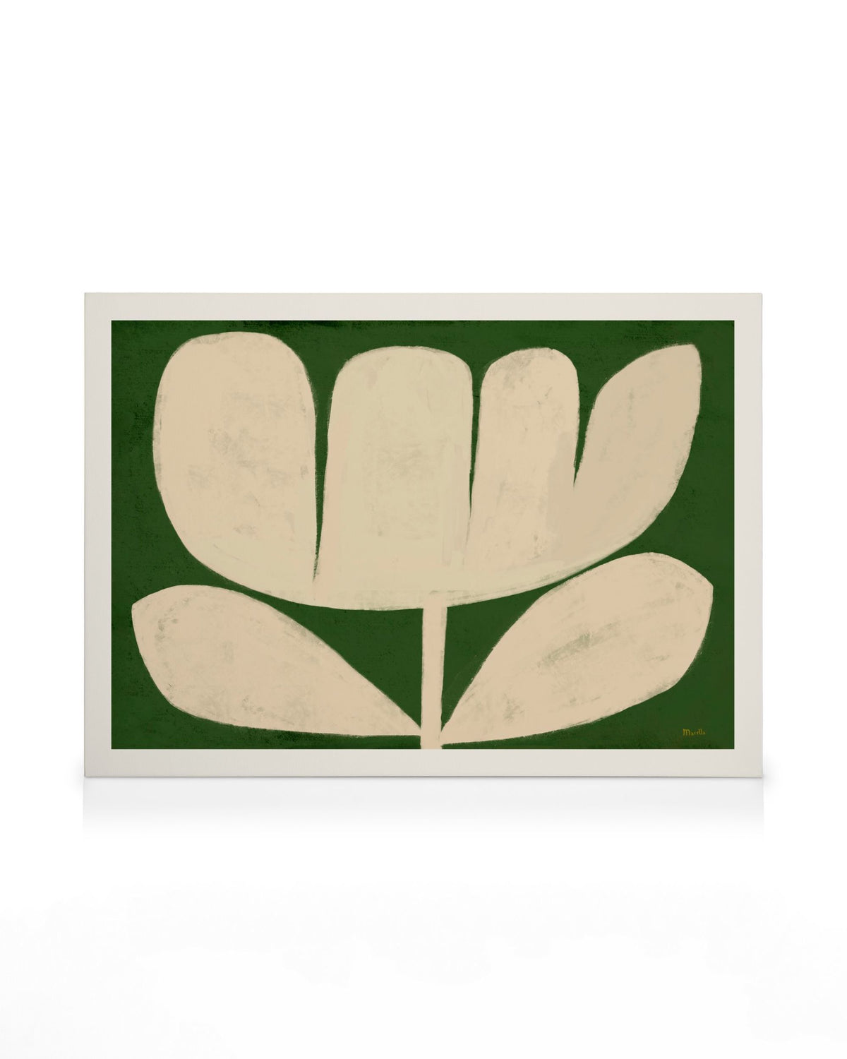 Marco Marella - Flower on Green Canvas print