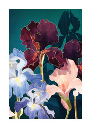SpaceFrog Designs - Iris Abstract Print