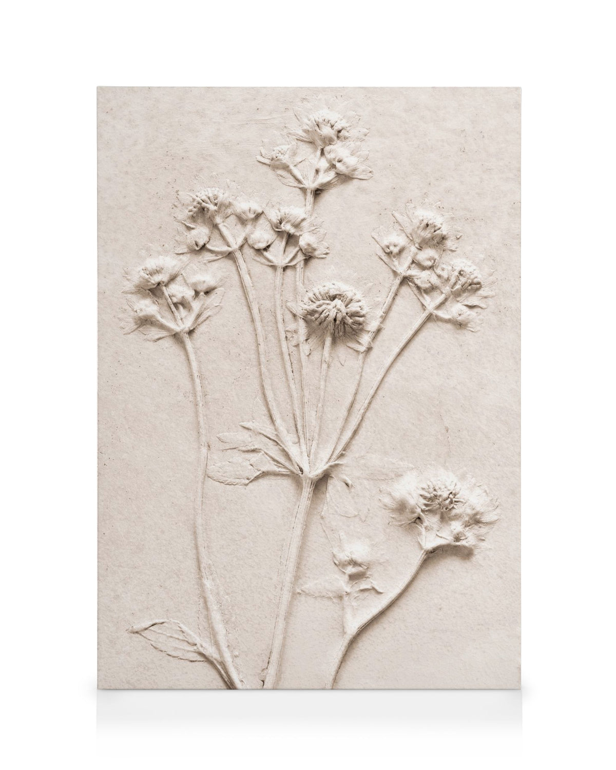 Relief Flowers No1 Canvas print