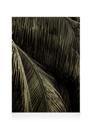 Palm Reverie Canvas print