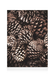 Pine Cones Canvas print