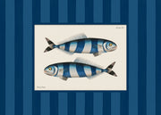 Vintage Pilot Fish Print