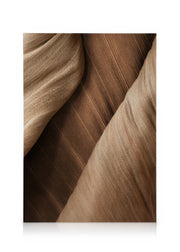 Brown Close Up Canvas print