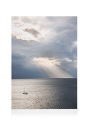 Majestic View Canvas