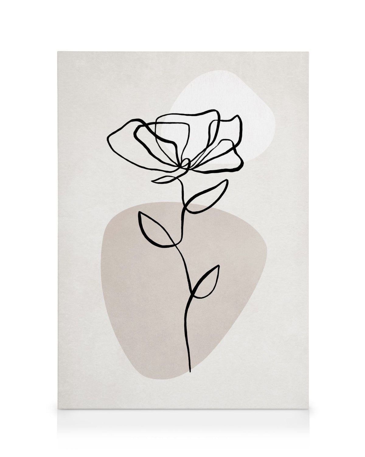 Botanical Lines No1 Canvas print