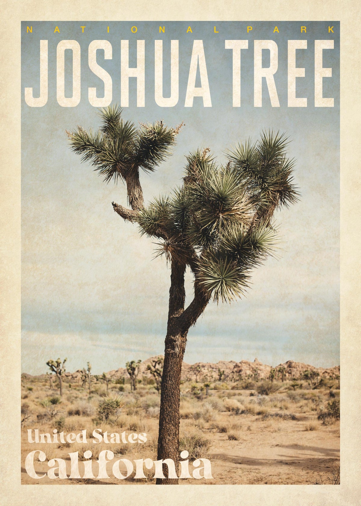 Joshua Tree Print